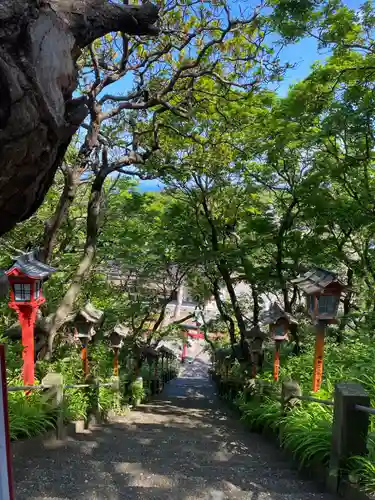 高山稲荷神社の景色