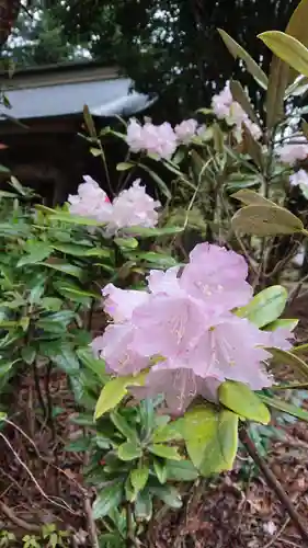 都々古別神社(馬場)の自然
