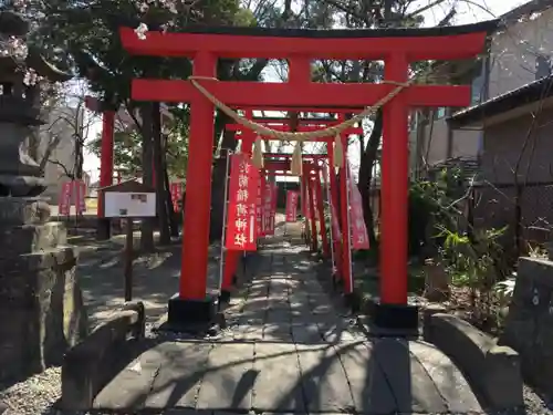 於菊稲荷神社の鳥居