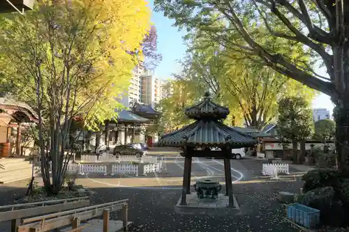 成願寺の景色