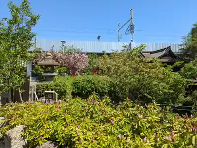 六孫王神社(京都府)