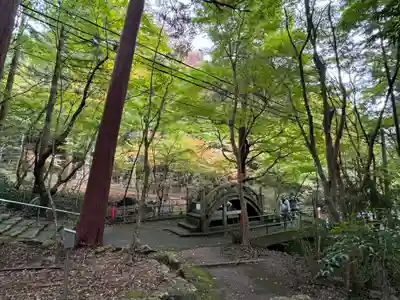 大矢田神社(岐阜県)