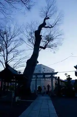 科野大宮社のその他建物