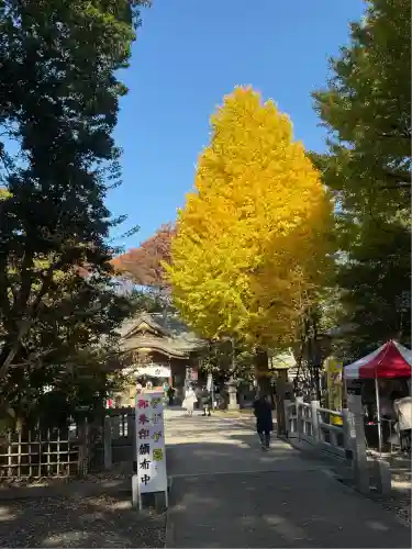 布多天神社(東京都)