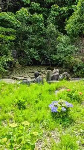 白金氷川神社の自然