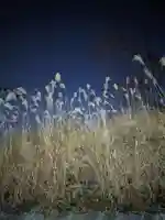 小網神社(東京都)