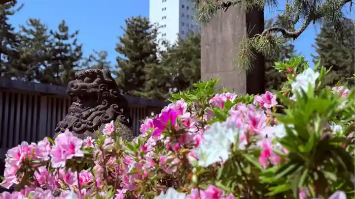 福井神社(福井県)