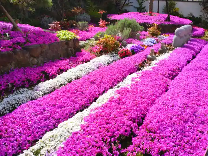 寿量山 速成寺(奈良県)