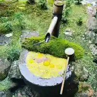 柳谷観音 楊谷寺(京都府)