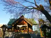 信濃神社の本殿・本堂