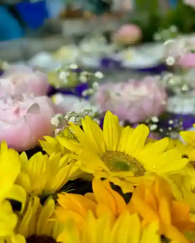 札幌諏訪神社の手水舎