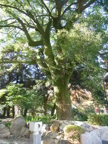 岐阜護國神社(岐阜県)