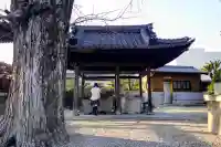 本伝寺の手水舎