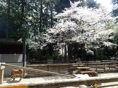 了源寺(神奈川県)