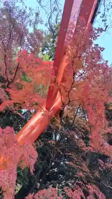 賀茂御祖神社（下鴨神社）(京都府)