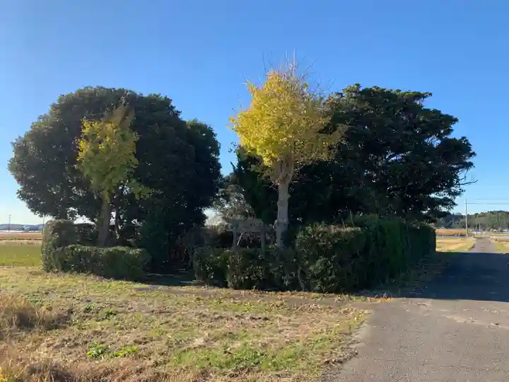 天満神社(千葉県)