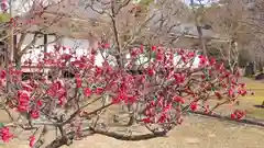 根来寺 智積院の自然