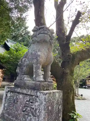 報徳二宮神社の狛犬