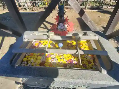 久伊豆神社大雷神社合殿の手水舎