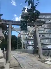 素盞嗚尊神社（江坂神社）(大阪府)