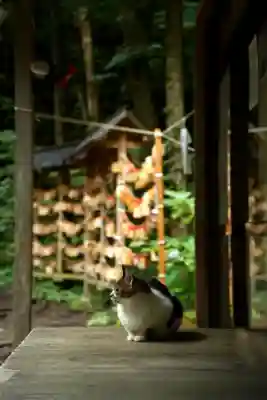 十和田神社(青森県)