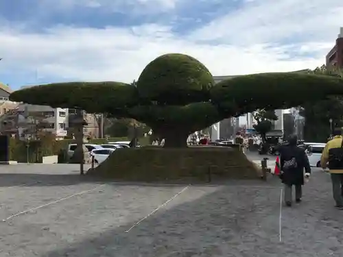 照國神社の自然