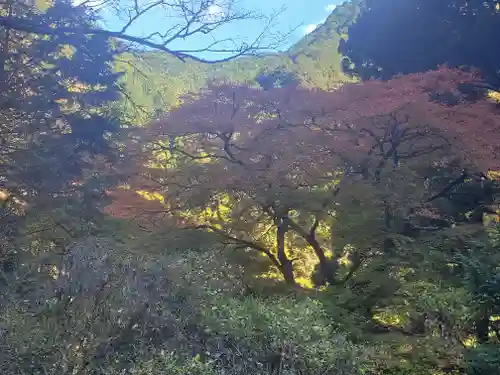 蓬莱神社の自然