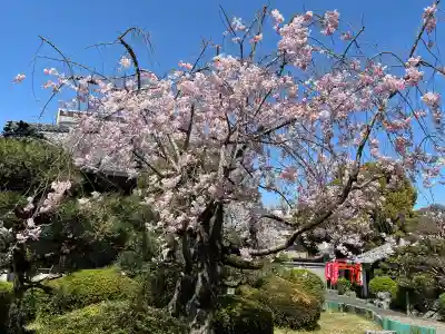 常葉神社(岐阜県)