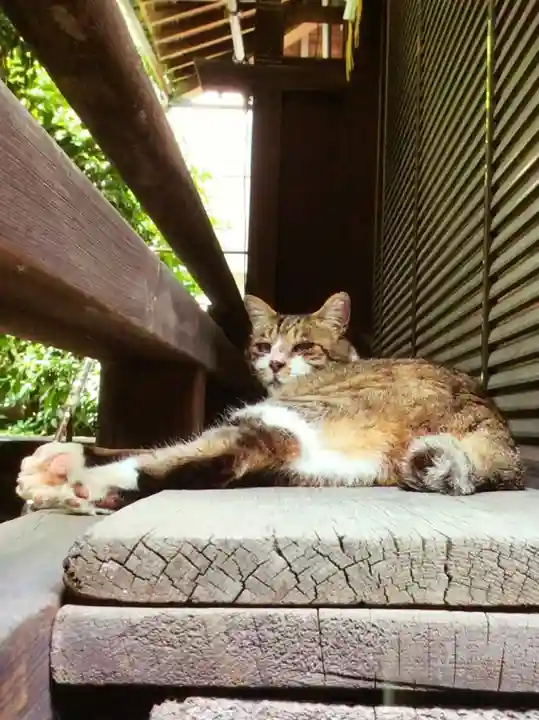 荻窪白山神社(東京都)