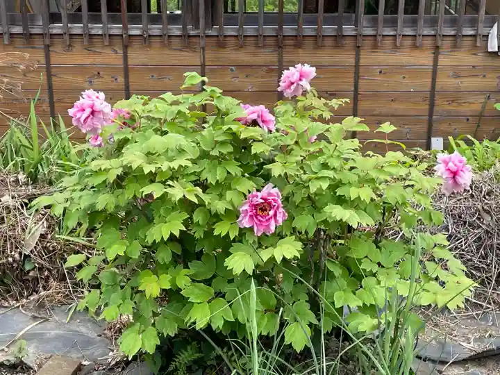 興禅寺(兵庫県)