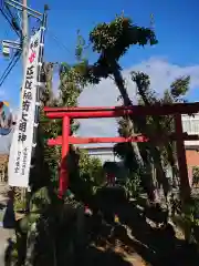 稲荷神社(愛知県)