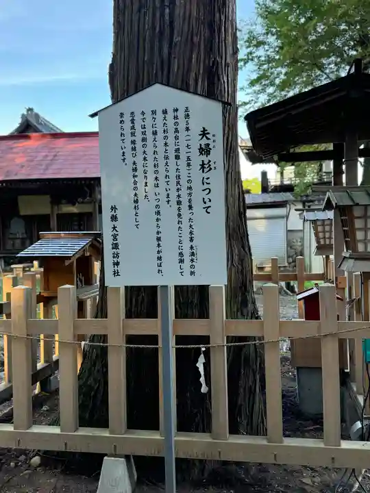 大宮諏訪神社(長野県)