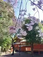 冠稲荷神社(群馬県)
