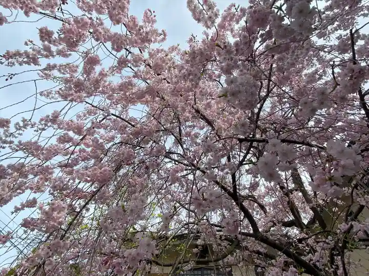 善行院(京都府)