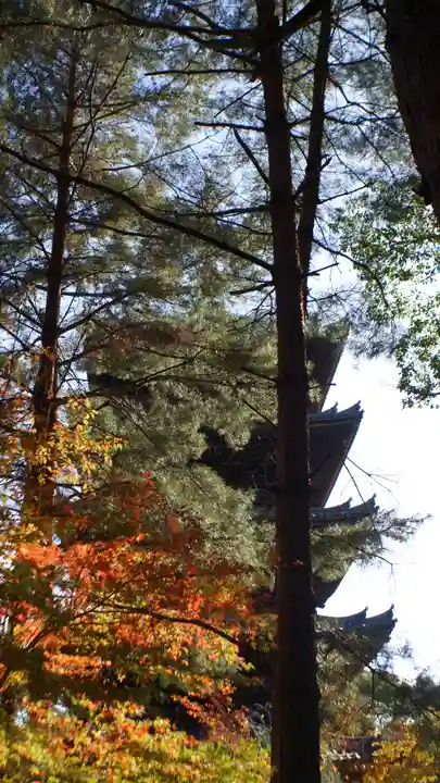 仁和寺(京都府)