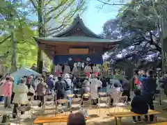 野木神社の神楽