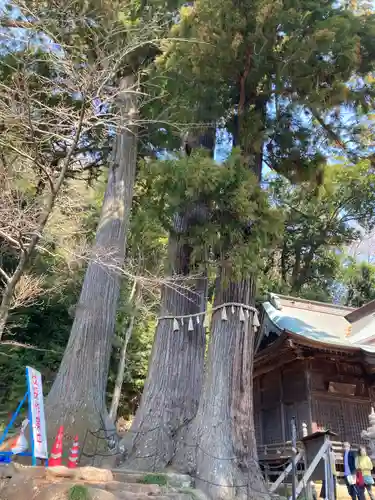 日枝神社(静岡県)