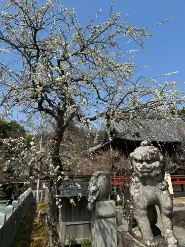 岩津天満宮の自然