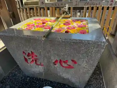 高円寺氷川神社の{uncategorized: "未分類", other: "その他", undefined: "問題あり", building: "その他建物", grave: "お墓", sacred_gate: "鳥居", guardian: "狛犬", statue: "像", buddha: "仏像", history: "歴史", nature: "自然", garden: "庭園", animal: "動物", pagoda: "塔", temizu: "手水舎", mountain_gate: "山門・神門", sanctuary: "本殿・本堂", subordinate: "末社・摂社", art: "芸術", scenery: "景色", jizo: "地蔵", ema: "絵馬", goshuin: "御朱印", omikuji: "おみくじ", items: "授与品その他", amulet: "お守り", goshuincho: "御朱印帳", eats: "食事", festival: "お祭り", votive_dance: "神楽", shichigosan: "七五三参", wedding: "結婚式", experience: "体験その他", initially: "初詣", around: "周辺", anti_infection: "感染症対策"}