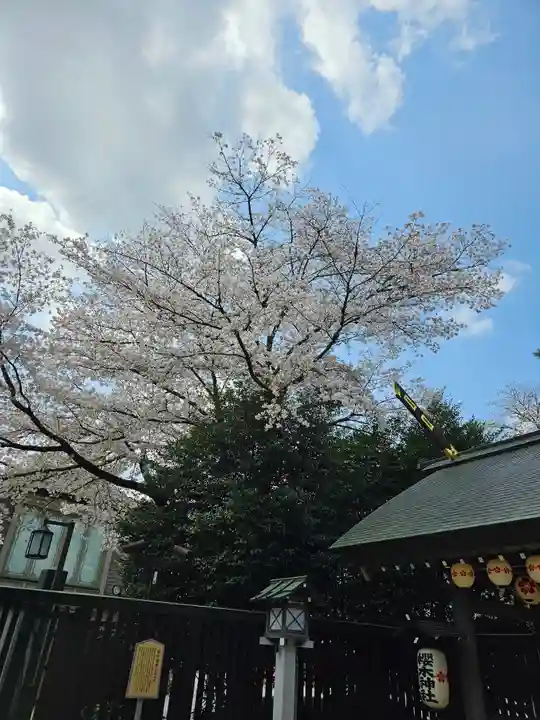 櫻木神社(千葉県)