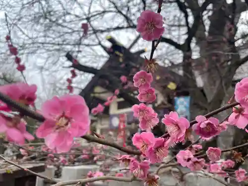 豊平神社の自然