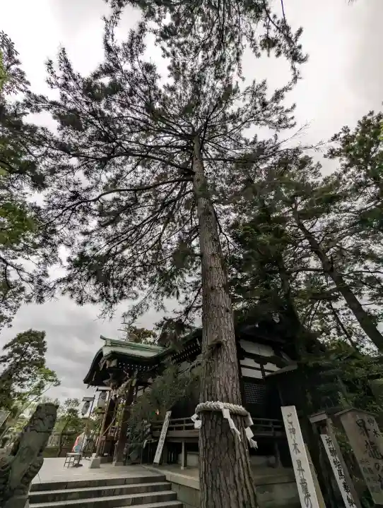 菟橋神社の{uncategorized: "未分類", other: "その他", undefined: "問題あり", building: "その他建物", grave: "お墓", sacred_gate: "鳥居", guardian: "狛犬", statue: "像", buddha: "仏像", history: "歴史", nature: "自然", garden: "庭園", animal: "動物", pagoda: "塔", temizu: "手水舎", mountain_gate: "山門・神門", sanctuary: "本殿・本堂", subordinate: "末社・摂社", art: "芸術", scenery: "景色", jizo: "地蔵", ema: "絵馬", goshuin: "御朱印", omikuji: "おみくじ", items: "授与品その他", amulet: "お守り", goshuincho: "御朱印帳", eats: "食事", festival: "お祭り", votive_dance: "神楽", shichigosan: "七五三参", wedding: "結婚式", experience: "体験その他", initially: "初詣", around: "周辺", anti_infection: "感染症対策"}