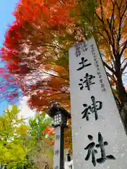 土津神社｜こどもと出世の神さまの建物その他