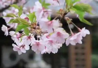 雲龍院(京都府)
