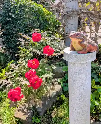 日蓮宗龍口山本龍寺の{uncategorized: "未分類", other: "その他", undefined: "問題あり", building: "その他建物", grave: "お墓", sacred_gate: "鳥居", guardian: "狛犬", statue: "像", buddha: "仏像", history: "歴史", nature: "自然", garden: "庭園", animal: "動物", pagoda: "塔", temizu: "手水舎", mountain_gate: "山門・神門", sanctuary: "本殿・本堂", subordinate: "末社・摂社", art: "芸術", scenery: "景色", jizo: "地蔵", ema: "絵馬", goshuin: "御朱印", omikuji: "おみくじ", items: "授与品その他", amulet: "お守り", goshuincho: "御朱印帳", eats: "食事", festival: "お祭り", votive_dance: "神楽", shichigosan: "七五三参", wedding: "結婚式", experience: "体験その他", initially: "初詣", around: "周辺", anti_infection: "感染症対策"}