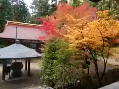 金剛輪寺(滋賀県)