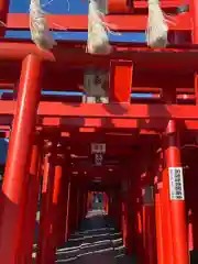 小泉稲荷神社の鳥居