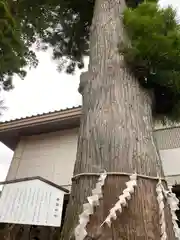 富士山東口本宮 冨士浅間神社の建物その他