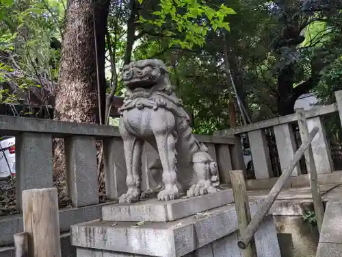 渋谷氷川神社の狛犬