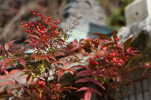 鹿島大神宮の自然